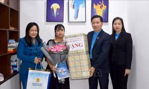 Nhiều hoạt động chăm lo, hỗ trợ lao động nữ Thủ đô