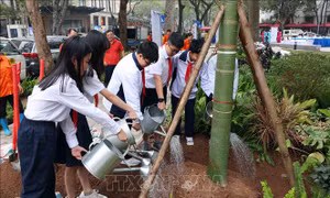 Tết trồng cây góp phần phát triển bền vững đất nước