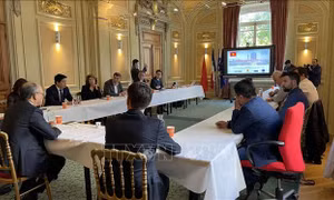Thúc đẩy đầu tư giữa các doanh nghiệp Việt Nam và vùng Nice Côte d'Azur