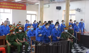 Hoãn phiên tòa xét xử 'trùm buôn lậu' Nguyễn Thị Kim Hạnh cùng 24 đồng phạm