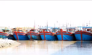 Khắc phục 'thẻ vàng' IUU: Ninh Bình không còn tàu cá '3 không'