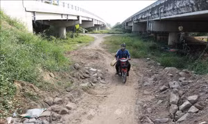 Cần thiết xây dựng điểm đấu nối vào đường dân sinh tuyến Cao Lãnh - Lộ Tẻ