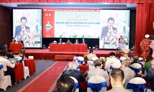 Hội nghị khoa học ngoại khoa và phẫu thuật nội soi toàn quốc 2025