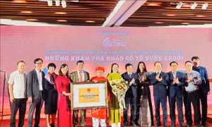 Ra mắt trưng bày 'Những khám phá khảo cổ từ Vườn Chuối'