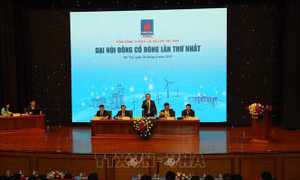 Điện lực dầu khí chi trả cổ tức ở mức 6%