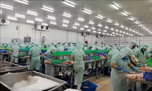 Đồng Tháp: Khoảng 95% công nhân trở lại làm việc sau kỳ nghỉ Tết
