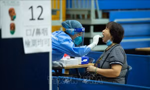 Dịch COVID-19: Macau (Trung Quốc) nới lỏng biện pháp hạn chế