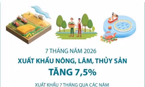 7 tháng năm 2026: Xuất khẩu nông, lâm, thủy sản tăng 7,5%