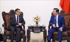 Việt Nam - Australia tăng cường hợp tác phát triển các dự án điện gió ngoài khơi