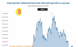 Vùng dậy bất thành, đồng tiền số Bitcoin chưa thể vượt qua mốc 22.000 USD