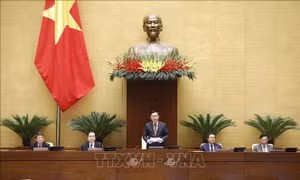Miễn nhiệm Phó Chủ tịch và một số Ủy viên Hội đồng bầu cử quốc gia