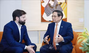 Việt Nam coi trọng quan hệ và thúc đẩy hợp tác nhiều mặt với Chile