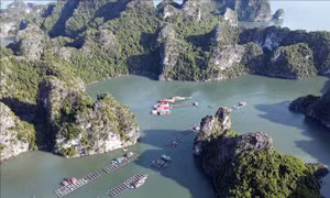 Làng chài Vung Viêng cuốn hút du khách quốc tế