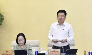 Đề xuất 7 nhóm chính sách định hướng sửa đổi Luật Đất đai