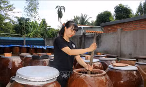 Tuổi trẻ miền Tây khởi nghiệp - Bài cuối: Đồng hành, tiếp sức cho thanh niên 