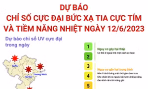Dự báo chỉ số cực đại bức xạ tia cực tím và tiềm năng nhiệt ngày 12/6/2023