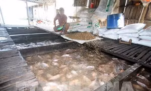 Kinh tế tư nhân là động lực quan trọng của nền kinh tế - Bài 1: Chọn điểm bứt phá
