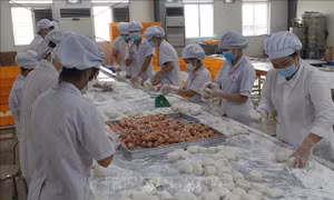 Dòng bánh Trung thu có thương hiệu được người tiêu dùng lựa chọn
