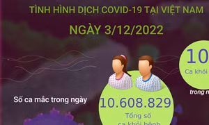 Ngày 3/12 ghi nhận 393 ca mắc mới COVID-19, 1 ca bị tử vong