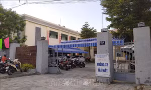 Đà Nẵng: Yêu cầu báo cáo về chi hỗ trợ cho các hộ dân theo phản ánh của TTXVN