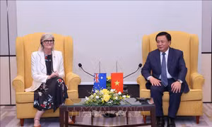 Việt Nam - Australia tăng cường hợp tác về đào tạo, bồi dưỡng cán bộ và chia sẻ tri thức