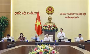 Ủy ban Thường vụ Quốc hội cho ý kiến về dự án Luật Phát triển đô thị