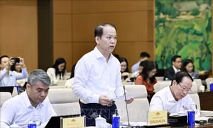 Phiên họp thứ 4, Ủy ban Thường vụ Quốc hội: Đề xuất quy định mới để chặn 'cò đấu giá, giá ảo'
