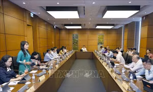 Nhiều kiến nghị nhằm bảo vệ quyền lợi lao động Việt Nam ở nước ngoài