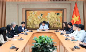 Phó Thủ tướng Nguyễn Chí Dũng tiếp Giám đốc điều hành Viện Chính sách cấp tiến (Hoa Kỳ)