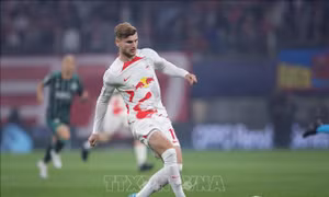 World Cup 2022: Đội tuyển Đức và bài toán không Timo Werner