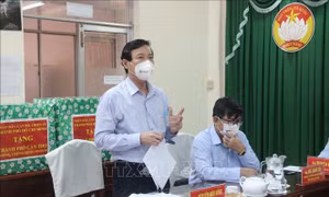 Cần Thơ, TP Hồ Chí Minh chia sẻ kinh nghiệm phòng, chống dịch COVID-19