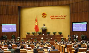 Phát huy trí tuệ, tâm huyết, kinh nghiệm hoạt động của người đại biểu nhân dân