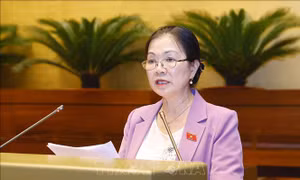 Sớm đưa pháp luật vào cuộc sống