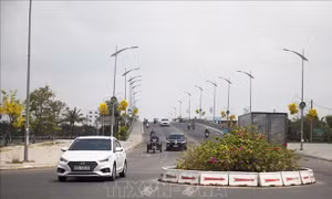Kiên Giang: Sắp xếp đơn vị hành chính cấp xã đáp ứng yêu cầu khu vực đô thị hóa cao