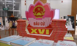 Trưng bày hơn 350 tư liệu sách, ảnh về bầu cử