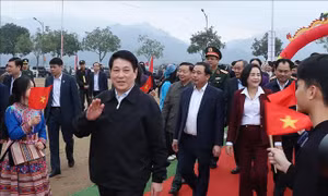 Chủ tịch nước dự lễ phát động Tết trồng cây năm 2026