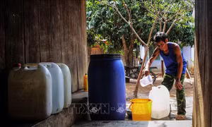 Ninh Thuận oằn mình chống khô hạn 