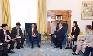  Chủ tịch Quốc hội Vương Đình Huệ hội đàm với Chủ tịch Quốc hội New Zealand 