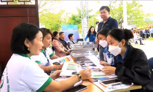 Tư vấn khởi nghiệp cho trên 1.500 đoàn viên, thanh niên, người lao động