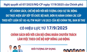 Chính sách đối với cán bộ công đoàn chuyên trách làm việc theo chế độ hợp đồng lao động