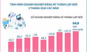 5 tháng năm 2024, cả nước có 64,8 nghìn doanh nghiệp đăng ký thành lập mới