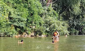 Tìm thấy thi thể hai nữ sinh rơi xuống sông Krông Nô