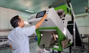 Ninh Thuận thúc đẩy phát triển công nghiệp nông thôn