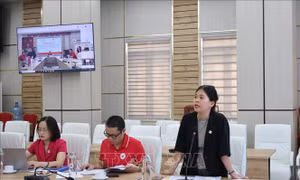 Hỗ trợ hộ người dân tại Nghệ An, Điện Biên phục hồi sinh kế sau thiên tai