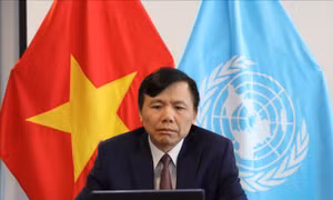 Việt Nam kêu gọi các bên tại Syria tăng cường đối thoại