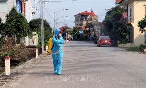 Thông báo khẩn số 37 tìm người trên chuyến bay từ Hà Nội đi TP Hồ Chí Minh