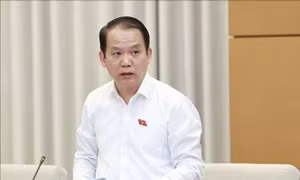 Xác định cụ thể mâu thuẫn, bất cập trong các văn bản pháp luật