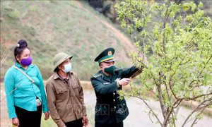 Bộ đội Biên phòng Sơn La giúp nhân dân phát triển kinh tế