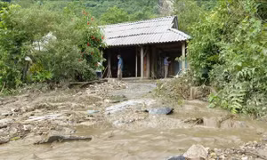 Mưa lũ gây nhiều thiệt hại tại Tuyên Quang