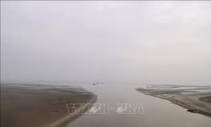 Ngư dân gặp khó do cửa biển cạn dòng khi thủy triều xuống bất thường 